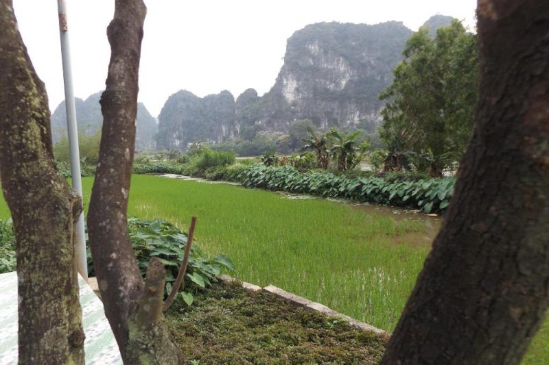 Trang An Farmstay