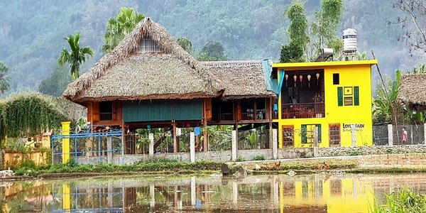 Top 5 mô hình farmstay ở Việt Nam thu hút du khách 2021  2022   manhtoanthang